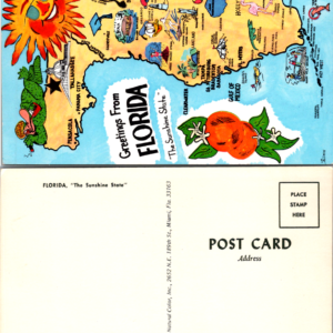 Vintage Postcard Greetings From Florida The Sunshine State Map FG-102 Lusterchro - Image 1