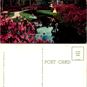 Florida Cypress Gardens Tropical Curteich Women Bridge Vintage Postcard - Image 1