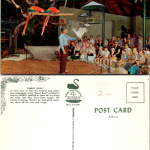 Parrot Jungle Bowl Macaw Cockatoos Miami Florida Birds Vintage Postcard - Image 1