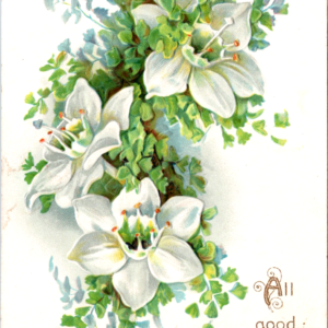 Birthday Wishes UNposted Embossed ANTIQUE Postcard Tuck - Image 1