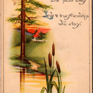 G&B 1915 MA Friendship Greeting Posted ONE Cent Stamp ANTIQUE Postcard Tree Lake - Image 1