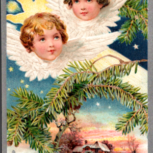 Tuck A Merry CHRISTMAS UNposted Embossed ANTIQUE Postcard Angel Pine River House - Image 1