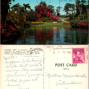 Vintage Koppel Color Cards Multicolor Postcard Garden Scene - Image 1
