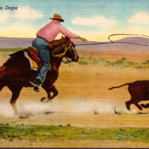 Cowboy Riding a Horse Postcard Unposted Western Calf - Image 1