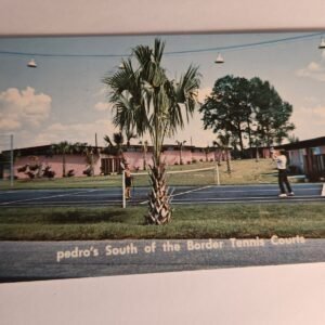 NOS SOUTH OF THE BOARDER Pedros Tennis Courts Vtg Postcard Unposted NEW SC - Image 1