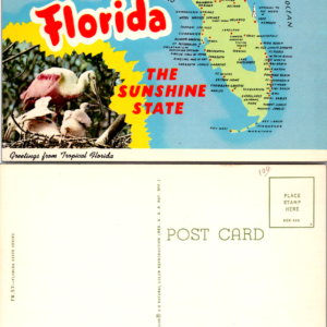 Florida Sunshine State Map Greetings Tropical Birds Ocean Vintage Postcard - Image 1