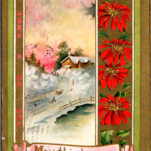 IOWA Posted ONE Cent Stamp Christmas ANTIQUE Postcard Poinsettias Flowers - Image 1