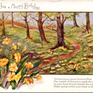James Henderson WILD FLOWERS Happy Birthday UNposted ANTIQUE Postcard - Image 1