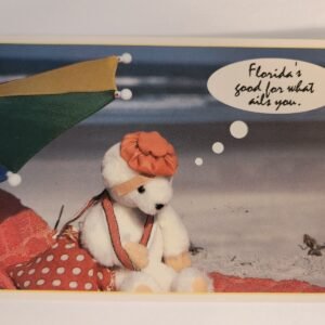 NOS Floridas Good for What Ails You Vtg Postcard Unposted NEW Bear Sand Beach - Image 1