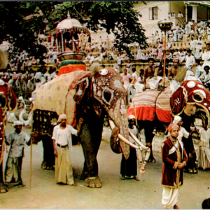 Postcard Elephant Parade - Image 1