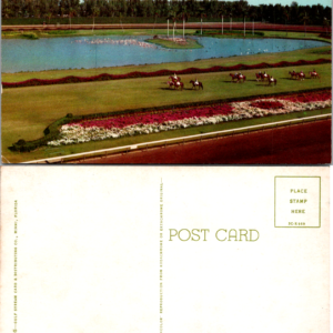 Horse Pond Haileah Race Course Miami Florida Postcard Unposted - Image 1