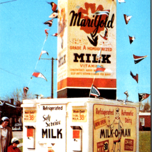 Racine WI 1954 Marigold Milk Depot Unposted Postcard Lake County Museum - Image 1
