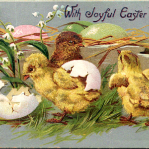 1908 Raphael Tuck Easter Chicks Posted ONE Cent Stamp ANTIQUE Postcard - Image 1