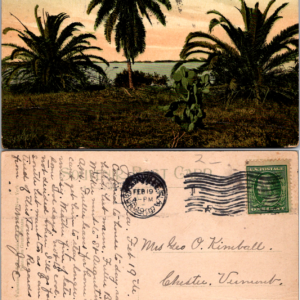 Florida Vintage Postcard Lot Mixed Views Linen Era Travel Souvenir Card - Image 1