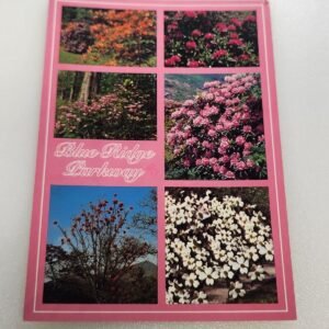 Asheville North Carolina Blue Ridge Parkway 1995 Stamp Vtg Postcard Posted - Image 1