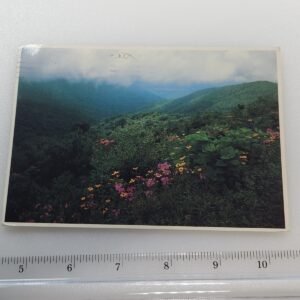 1994 Asheville North Carolina Blue Ridge Mountains Stamp Vtg Postcard Posted - Image 1