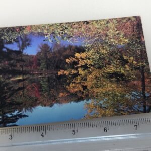 Vermont New England Lanscape Forest Lake 20 Cent Apgar Stamp Vtg Postcard Posted - Image 1