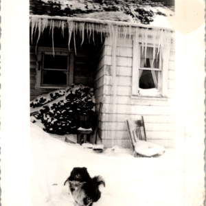 1947 Winter House Icicles Cute Dog Snow Portrait Snapshot Photograph OOAK - Image 1