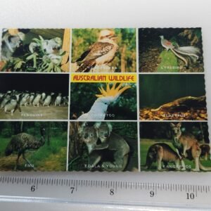 Australia Wildlife Bird Koala Penguin Emu Fish Stamp Vtg Postcard Posted 1986 - Image 1