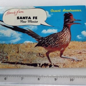 Roadrunner Desert Santa Fe CA 22 Cent Flag Stamp Vtg Postcard Posted 1986 - Image 1
