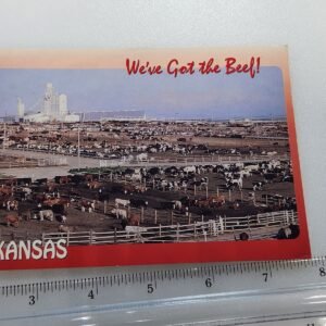 KANSAS we've Got the Beef Cattle Farm 19 Cent Deer Stamp Vtg Postcard Posted 94 - Image 1