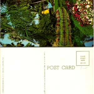 Florida Cypress Gardens Mediterranean Falls Postcard Fl State Series Scenic View - Image 1