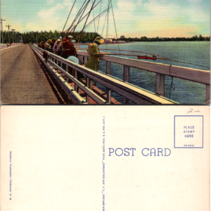 Bridge-Fishing in Florida Tropical Waters Sarasota S-16 4B-H331 - Image 1