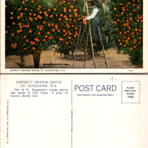 Garnett Orange Grove St. Augustine W. J. Harris Co. 36821 Vintage - Image 1