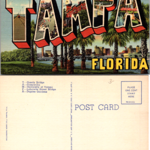 Curt Teich Greetings from Tampa Florida C.T. Art-Colortone 5B-H1002 - Image 1
