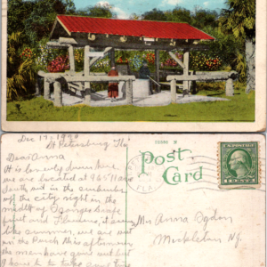Dixie Well at the Jungle St Petersburg Fla Postcard 1920 - Image 1