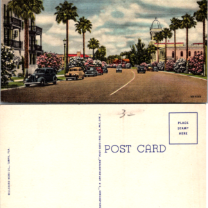 Beautiful Davis Boulevard on Davis Island Tampa Florida Curt Teich C.T. Art-Colortone - Image 1