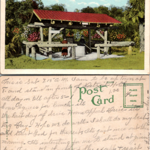 Dixie Well at the Jungle St. Petersburg Fla 22 E C Kropp - Image 1