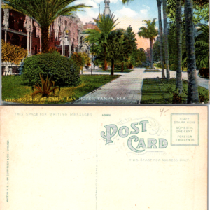 Curt Teich The Grounds at Tampa Bay Hotel Tampa Florida A-20655 - Image 1