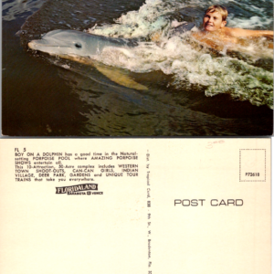 Floridaland Sarasota-Venice Boy on a Dolphin Postcard P72618 Vintage - Image 1