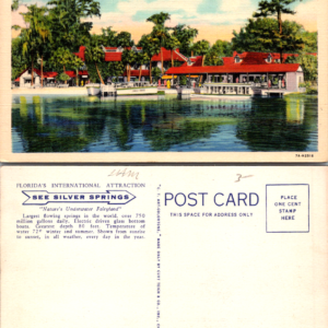 Curt Teich 7A-H2516 Water Front Silver Springs Fla Vintage Linen Postcard - Image 1