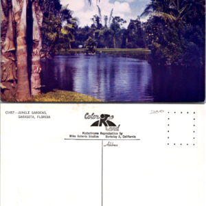 Jungle Gardens Sarasota Florida Mike Roberts C1457 Kodachrome Vintage - Image 1