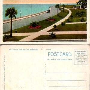 Beautiful Bay Shore Drive Tampa Florida Postcard Florida News Co A-6005 Vintage - Image 1