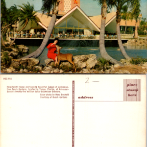 Hospitality House Busch Gardens Tampa HSC-F54 Mirro-Krome Vintage - Image 1