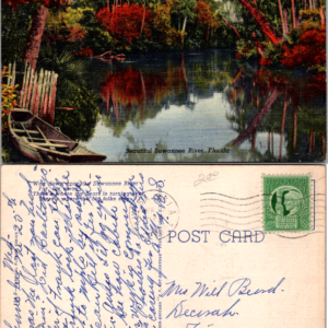 Beautiful Suwannee River Florida Curteich-Chicago C.T. Art-Colortone 134F - Image 1