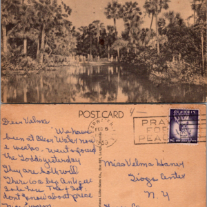 Mountain Lake at the Singing Tower Hartman BST-9 Postcard 1953 - Image 1