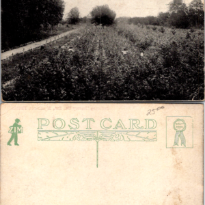 Jefferson Nursery Co Monticello Florida ZIM RPPC Vintage - Image 1