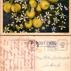 Curteich 811 Grape Fruit and Blossoms Florida Linen 1938 Saint Petersburg - Image 1