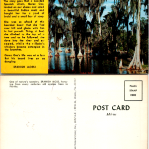 Legend of the Spanish Moss in Florida Koppel FG-124 73582 - Image 1