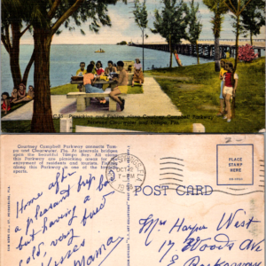 C-25 Picnicking and Fishing Sun News Co. 1950 Vintage Postcard - Image 1