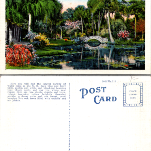 McKee Jungle Gardens Vero Beach Florida Linen Postcard Vintage - Image 1