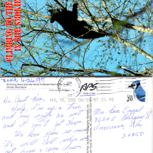 Climbing to the Top in the Smokies Postcard Great Smoky Mountains - Image 1
