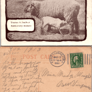 Comic Sheep Lamb Postcard 1910 Emmetsburg Iowa - Image 1