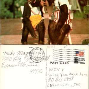 Kissing cousins at Miami's Monkey Jungle Murphy Bros. Press 76-28 Vintage - Image 1