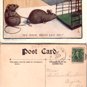 1907 U. Co. MY WIFE WON'T LET ME! Mice Mousetrap Postcard - Image 1