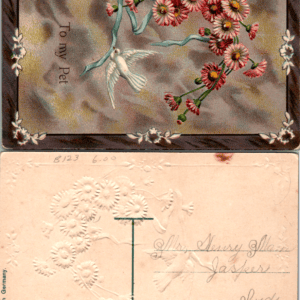 Pink Daisies White Dove Serie 717 To My Pet Made in Germany c.1910 - Image 1